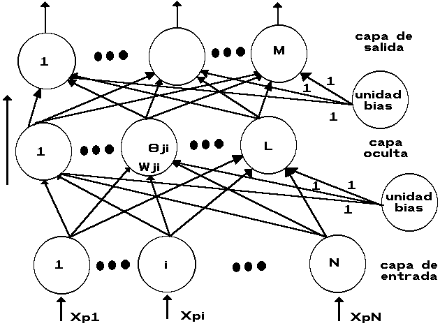 backpropagation.gif (9098 bytes)