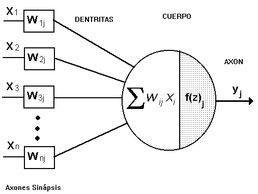 neurona_art.gif (4351 bytes)